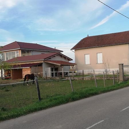 Maison De 100M2 Au Coeur D'Une Pension Equestre Les Sabots De Nina Marcollin Exterior foto